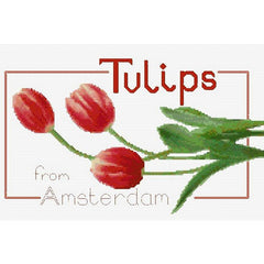 Counted Cross stitch Tulips from DoodleCraft Design
