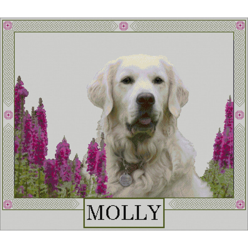 Example of Bespoke Design - Molly the Golden Retriever