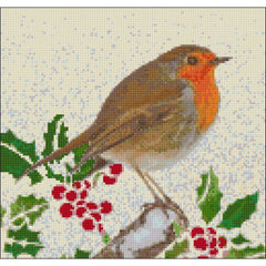 Cross stitch kit for robin in snow from DoodleCraft Design