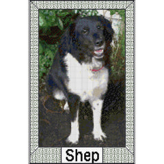 Example of Bespoke Design - Shep the Dog