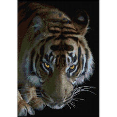 Cross stitch kit of Tiger in the Night from DoodleCraft Design